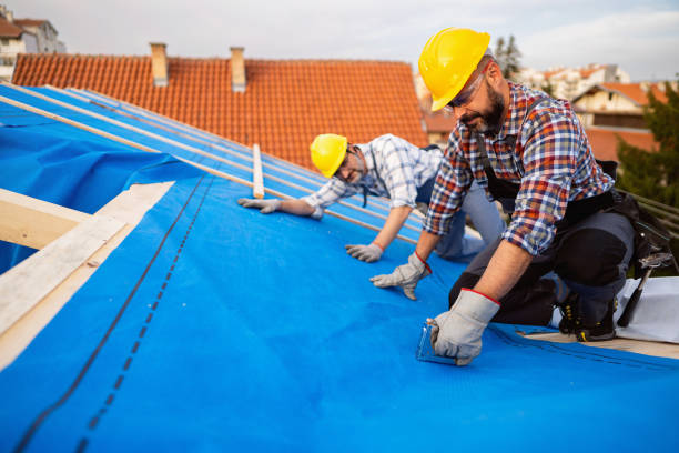 Roof Gutter Cleaning in Fair Oaks, GA